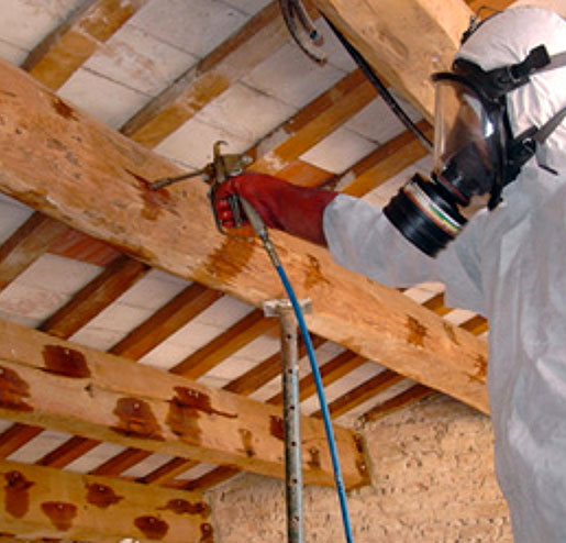 Willand Rénovation, traitement de charpente à Paris 75003